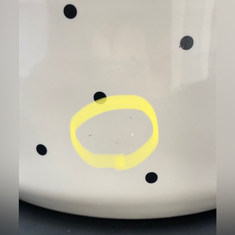 Rae Dunn Peanuts Pet Dog Bowl Halloween Spooktacular Snoopy & Woodstock - Picture 13 of 16